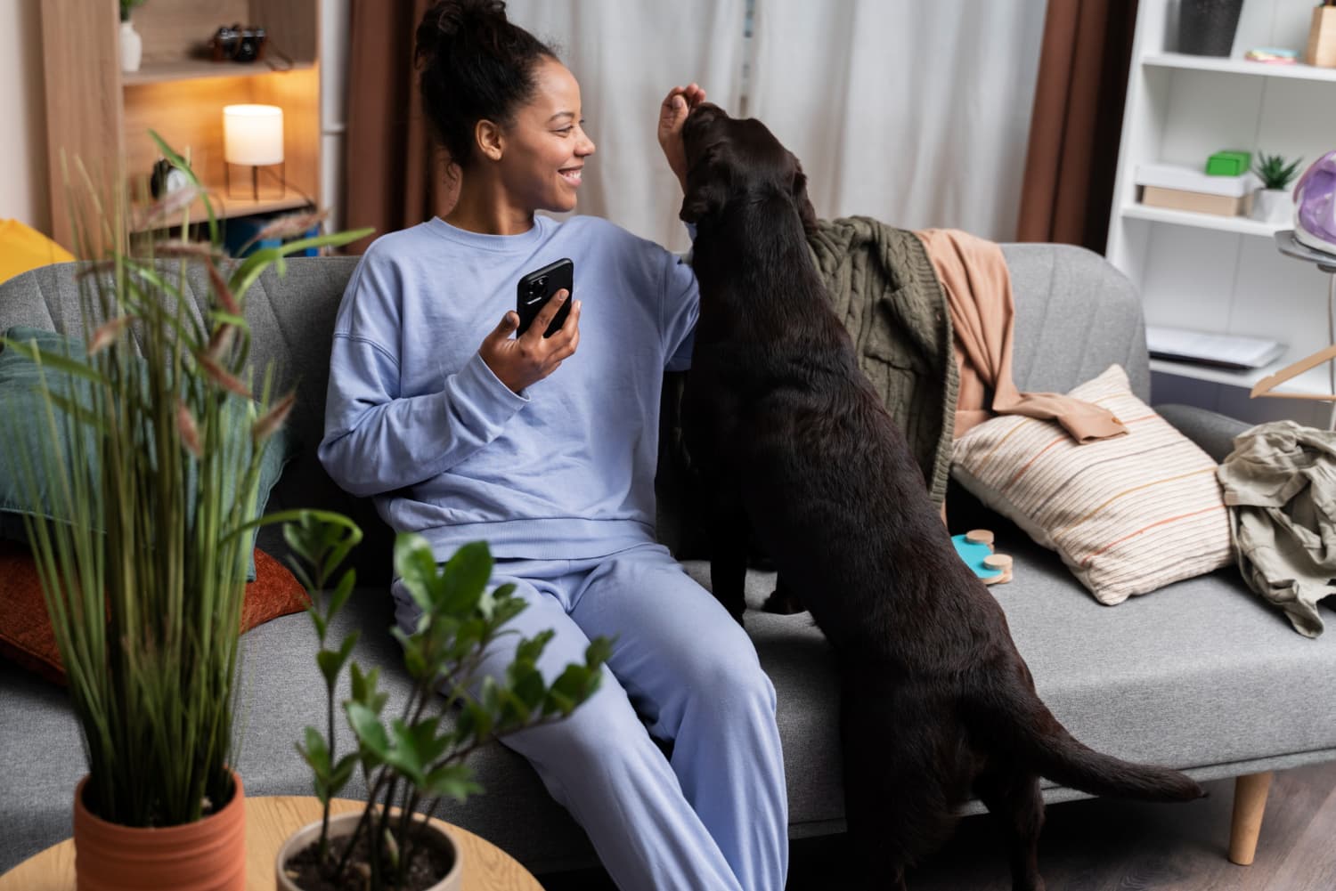 Veterinarian performing a wellness exam on a dog at The Animal Doctor Vet Clinic