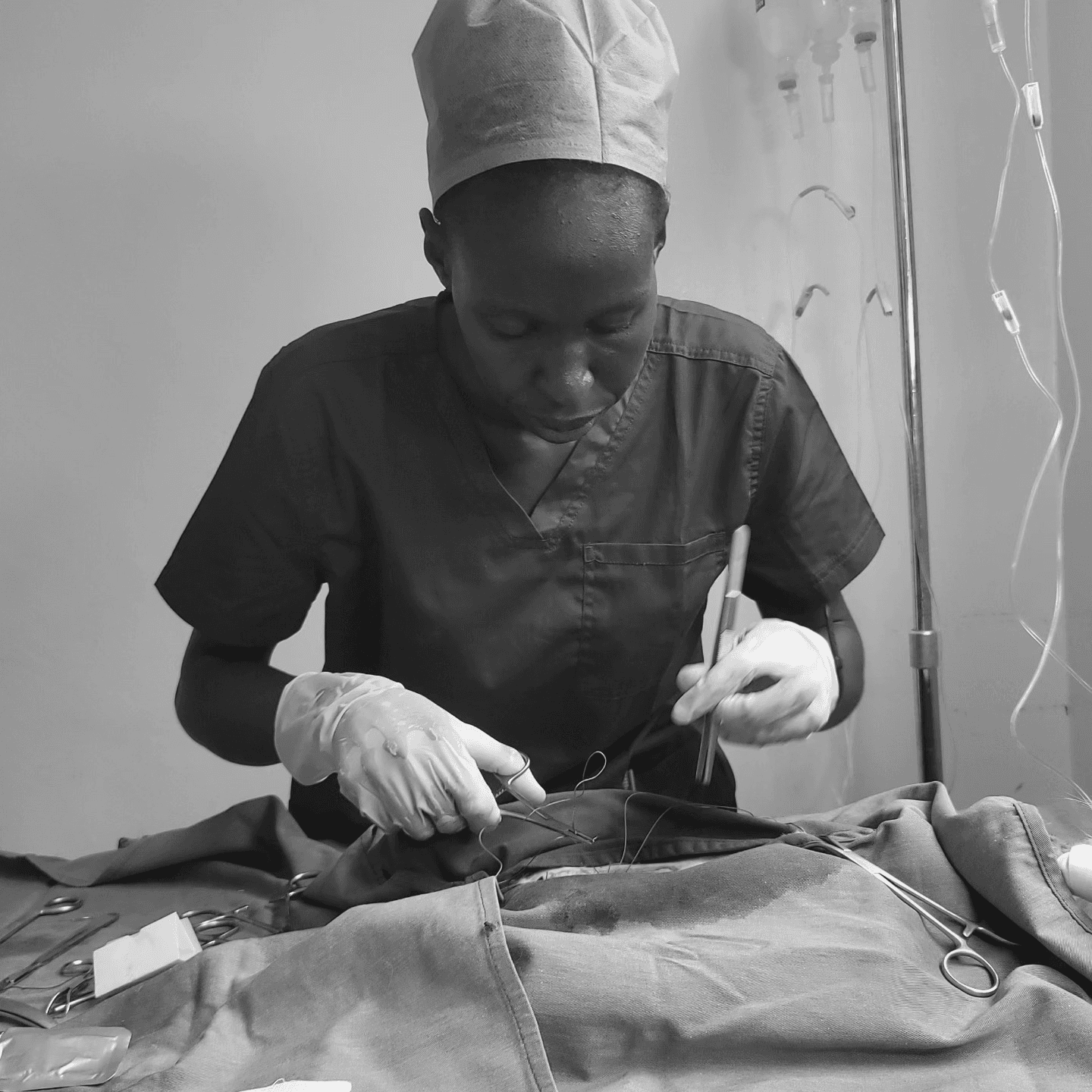 Veterinary surgical suite at The Animal Doctor