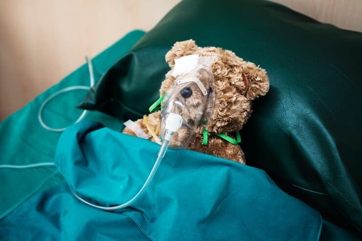 Veterinary emergency treatment in progress at The Animal Doctor Vet Clinic