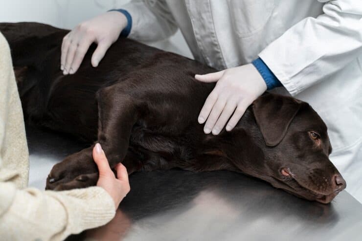 Recovery ward with attentive nurse