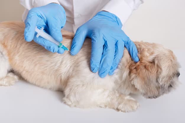 Dog vaccination card issued at the clinic