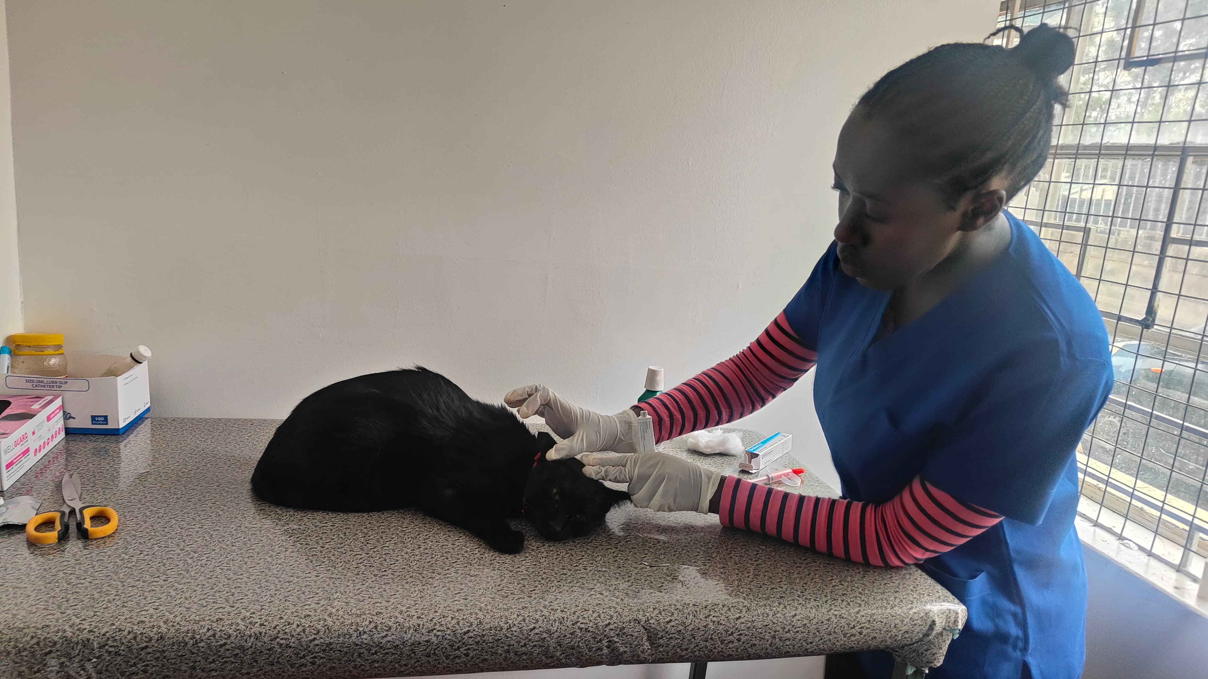 From Routine Checkups to Complex Treatment